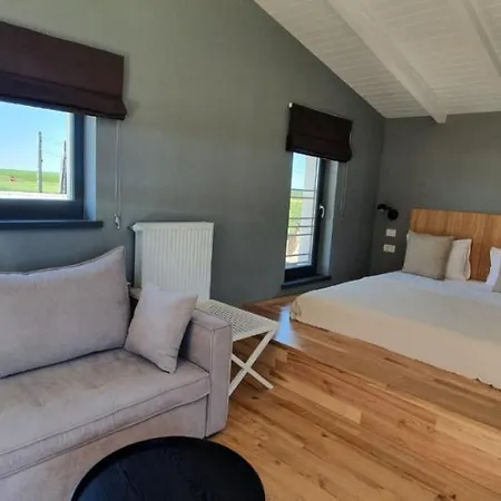 B&B The Pines - Experiment Favelas