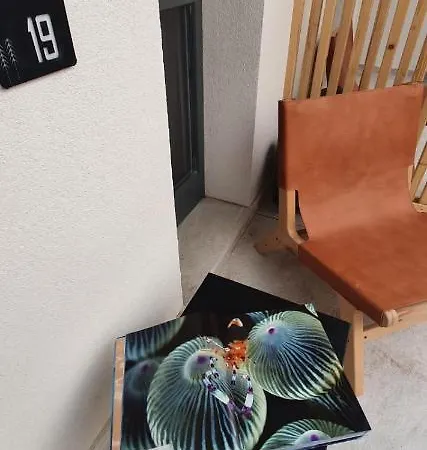 B&B The Pines - Experiment Favelas