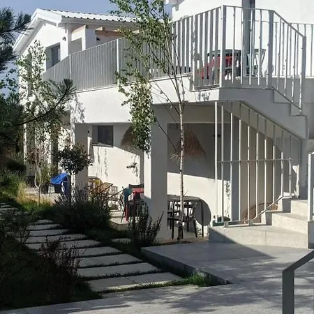 Bed & Breakfast The Pines - Experiment Favelas 4*