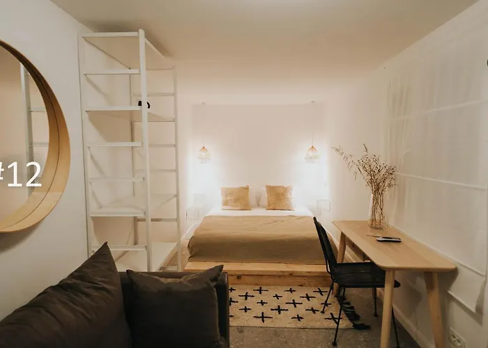 The Pines - Experiment Favelas Vama Veche