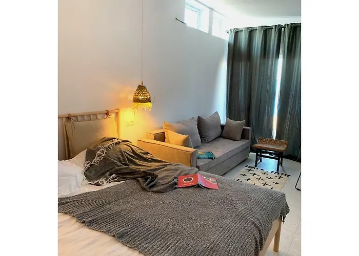 The Pines - Experiment Favelas Vama Veche